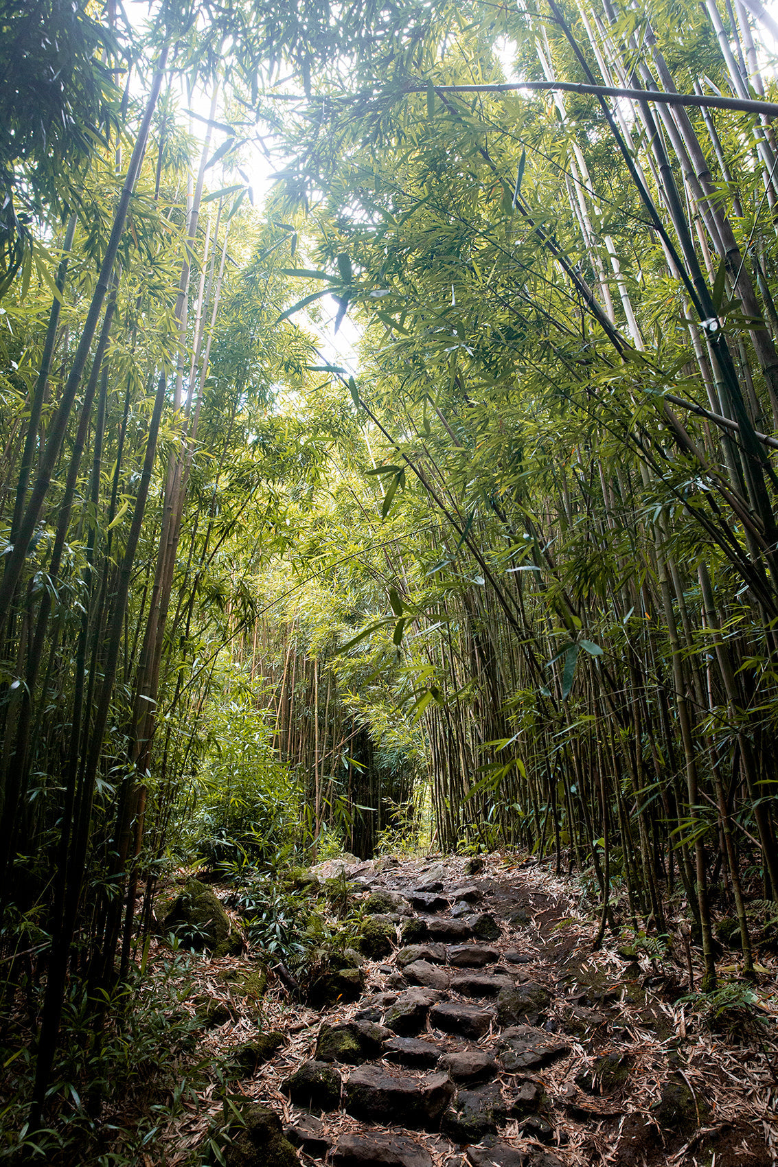 Why Making the Switch to Bamboo Clothes Will Completely Change the Way You Dress